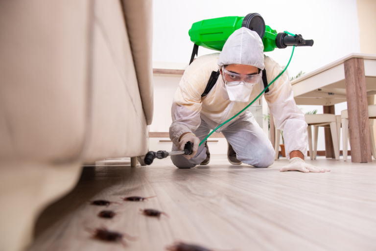 Pest Exterminator