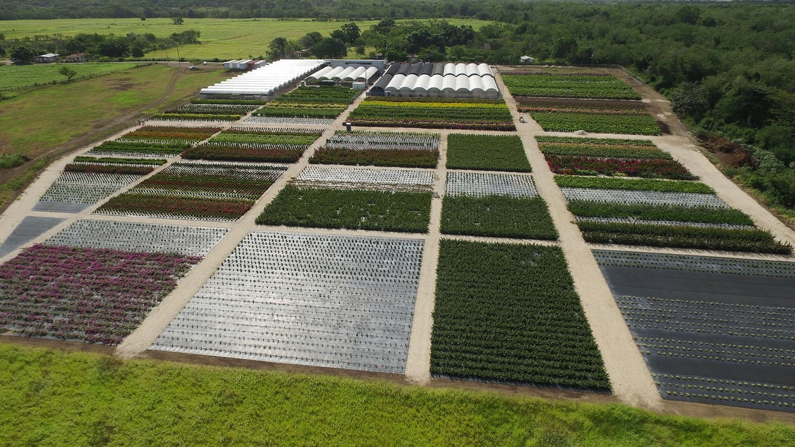 Vista Farm